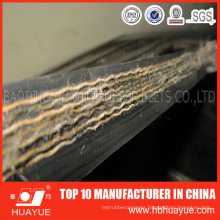 Made in China Heat Resistant Conveyor Belt